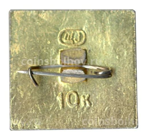 Значок Псков