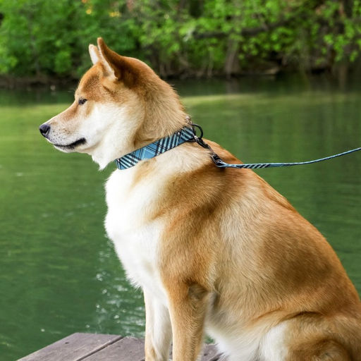 Ошейник Джентльмен, застёжка - фастекс, 2.5 см, 40-55 см - Пушистое счастье фото 3