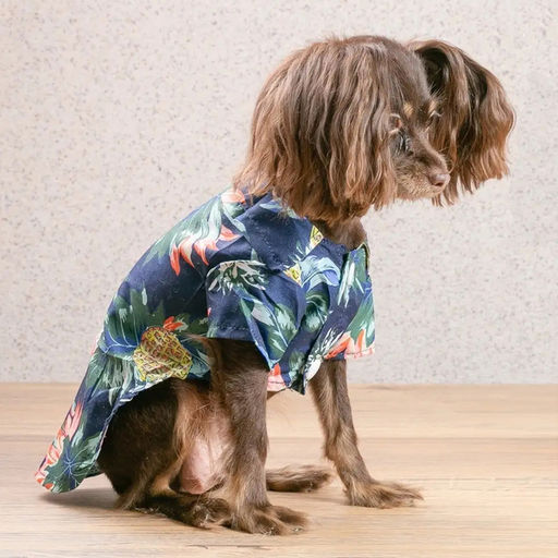 Рубашка для собак и кошек малых и средних пород "СТИЛЬНЫЙ БРО", цвет синий, принт ананасы с цветами, размер L