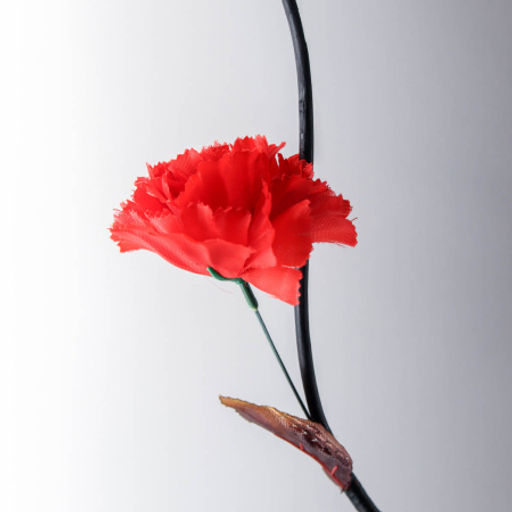 Сухоцвет набор 5 штук 150 см Гвоздика красная / 18-18 /уп 100/641044 - Галеонтрейд фото 3