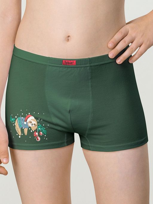 Уценка Pelican 2шт. в упаковке BUHB4309(2) трусы для мальчиков фото 2