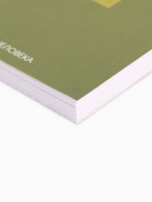 Ежедневник творческого человека Время мечтать, с заданиями А5, 120 л., в мягкой обложке