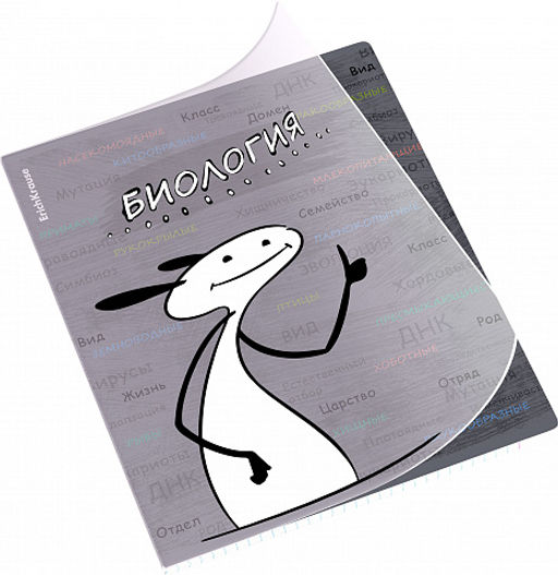 Цена за 5 шт. Тетрадь общая ученическая с пластиковой обложкой на скобе ErichKrause Чубрик, Биология, 48 листов, клетка