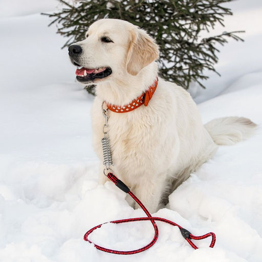 Поводок усиленный с амортизатором от рывка, 120 х 1,2 см, чёрно-красный - Пижон фото 7