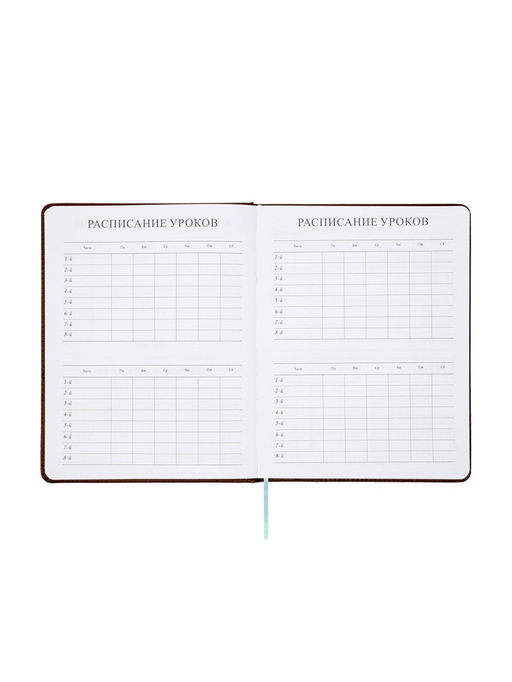 Дневник школьный 1-11 класс, лассе, обложка искуственная кожа коричневая, Рыцарь