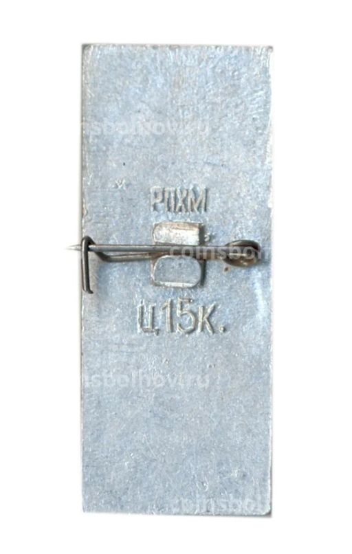 Значок Ростов -на- Дону  памятник М.Горькому