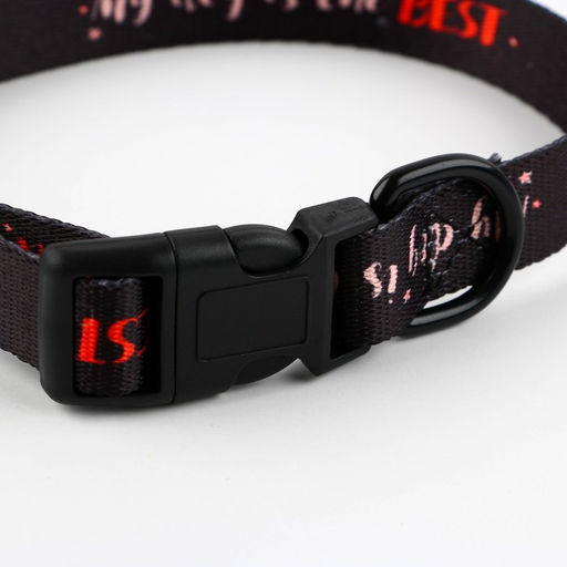 Ошейник My dog is the best, застёжка - фастекс, 2 см 25-40 см - Пушистое счастье фото 5