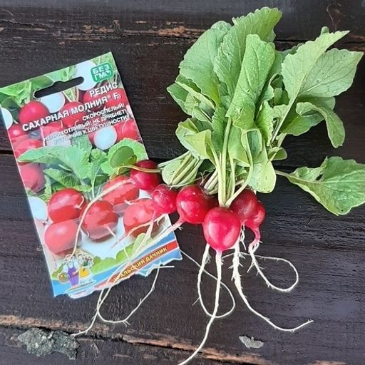 Редис САХАРНАЯ МОЛНИЯ F1 - Уральский дачник фото 5