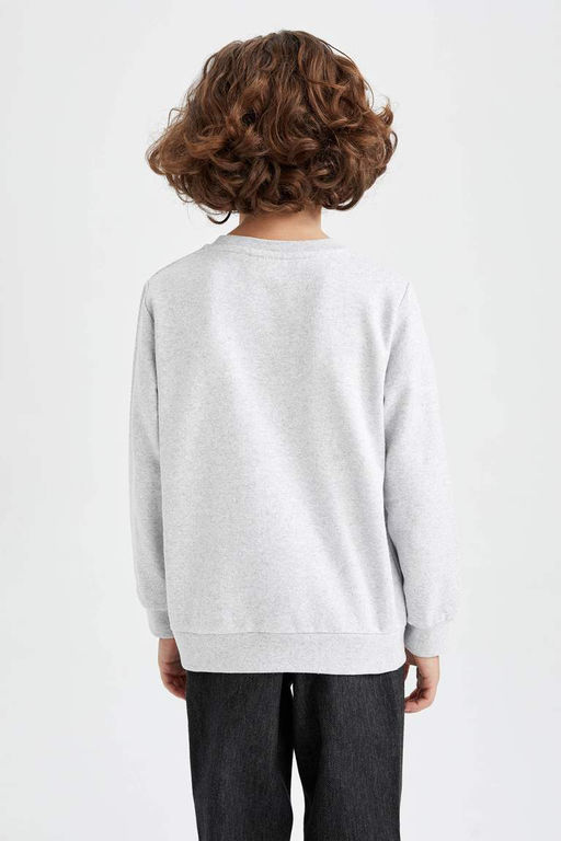 Толстый базовый свитшот для мальчиков с круглым вырезом - Defacto фото 5