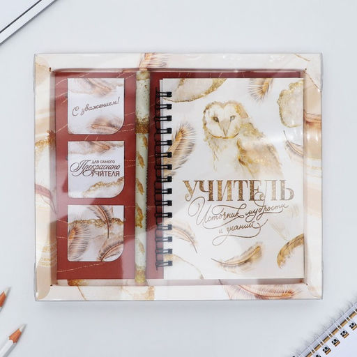 Подарочный набор, блокнот А6, 60 л., магнитные закладки, ручка «Учитель»