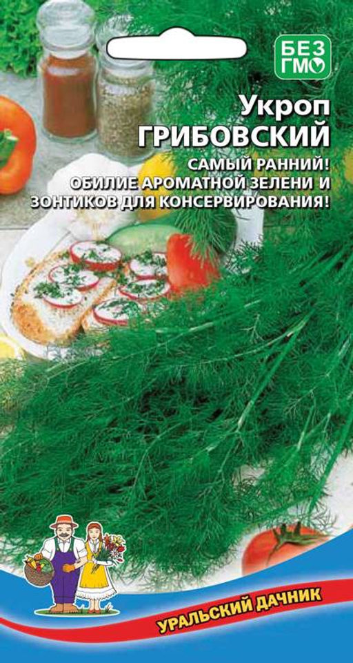 Укроп ГРИБОВСКИЙ