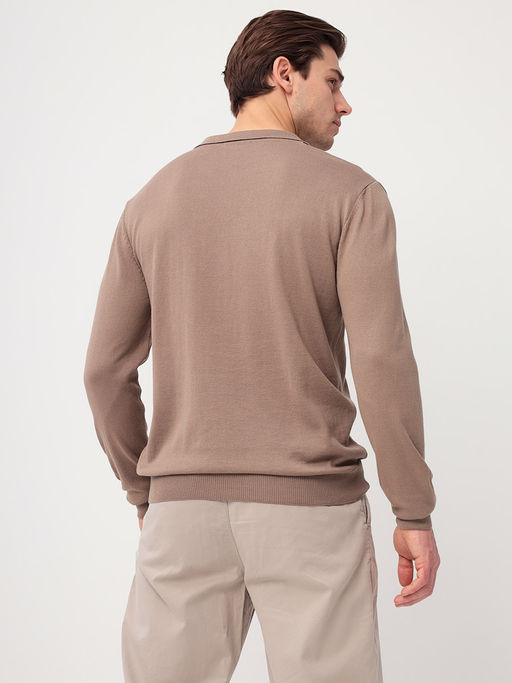 Джемпер мужской с воротником поло GREG G128-AC155 (бежевый)  фото 3