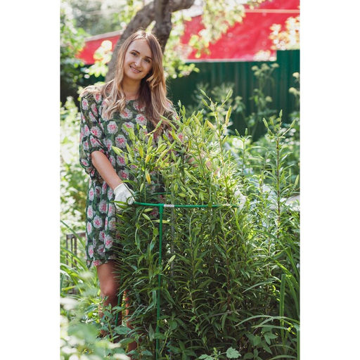 Кустодержатель, d=50 см, h=100 см, ножка d=1 см, металл, зелёный, троеножка