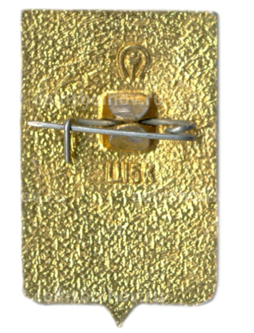 Значок Воронеж