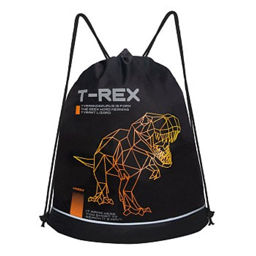 OM-51-117 Мешок для обуви