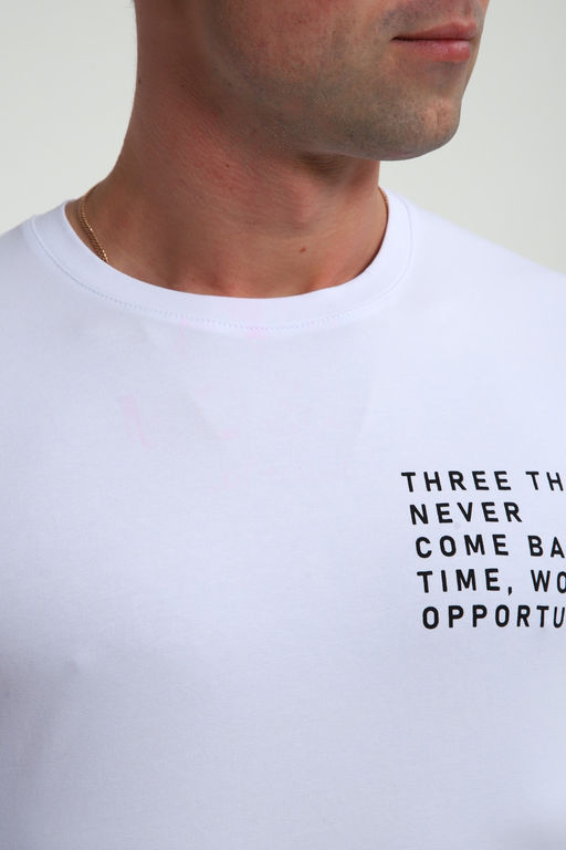 Футболка мужская 052