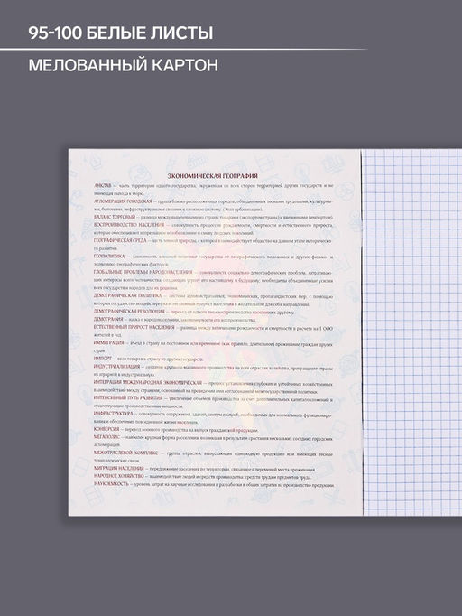 Цена за 5 шт. Тетрадь предметная, 48 листов в клетку, Calligrata TOP, «Неоновые звери. География»