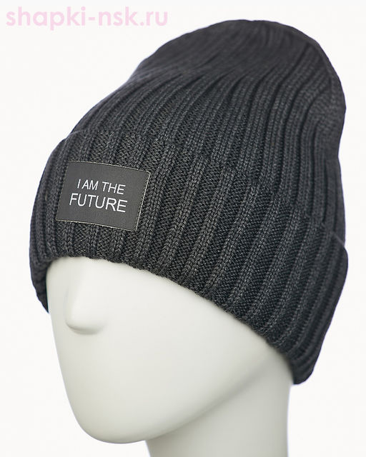 017 1S/1 IF SHM Дарвел Колпак мужской (58-60)