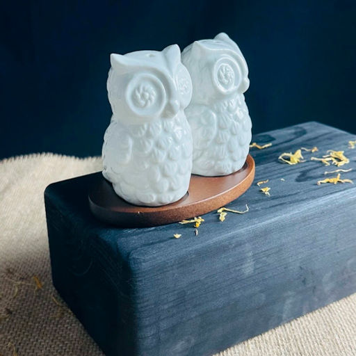 Набор солонок на подставке TROPICAL в под.уп. Фарфор арт.235-097 /LENARDI/