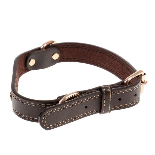 Ошейник с золоченой табличкой и фурнитурой, 55 х 2,5 см, коричневый - Пижон фото 2