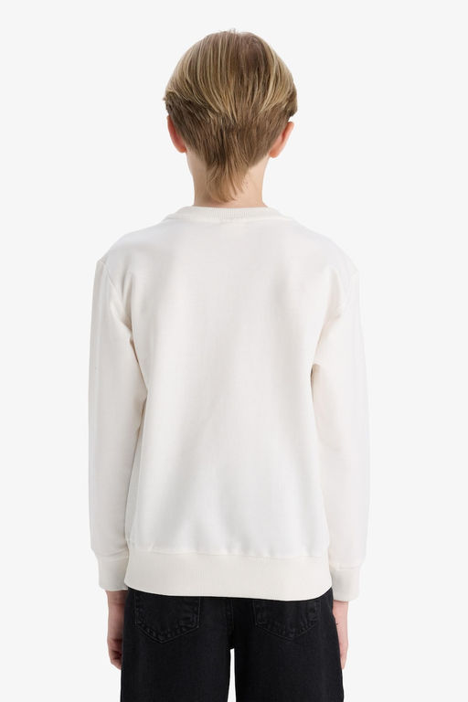 %100 Pamuk Bisiklet Yaka Bask_l_ Sweatshirt Erkek _ocuk - Defacto фото 9