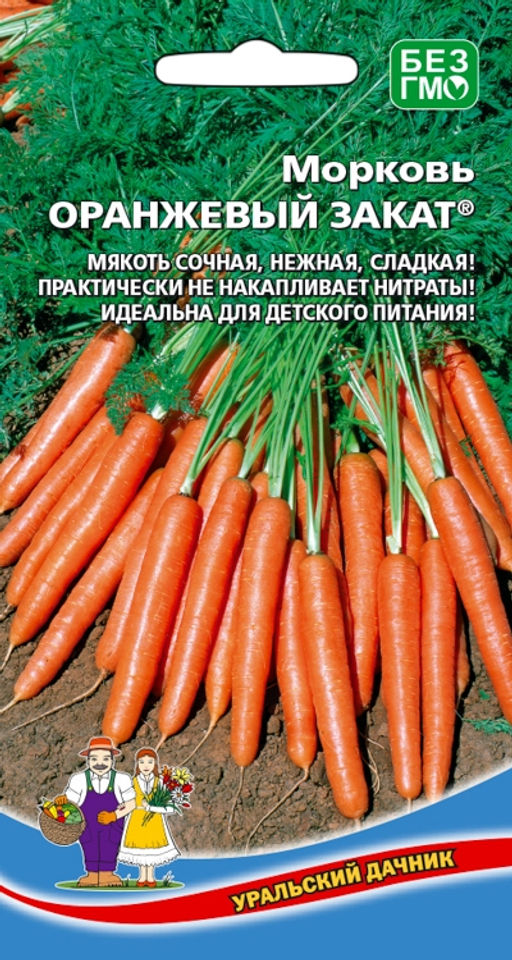 Морковь ОРАНЖЕВЫЙ ЗАКАТ Не накапливает нитраты! Идеальна для детского питания! Мякоть сочная, нежная и сладкая!