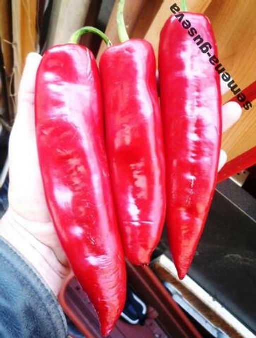 Перец Сахарный  Вишнёвое Вино