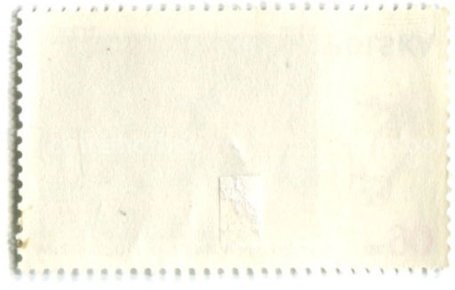 Марка Великопольские национальный парк (Серая Неясыть) 1976 год Польша