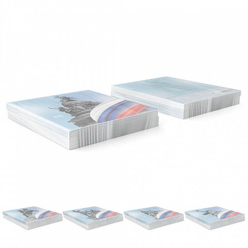 Цена за 5 шт. Тетрадь общая ученическая ErichKrause Российский герб, 48 листов, клетка, матовая ламинация+выборочный УФ-лак+тиснение фольгой_MIX-PACK  фото 9