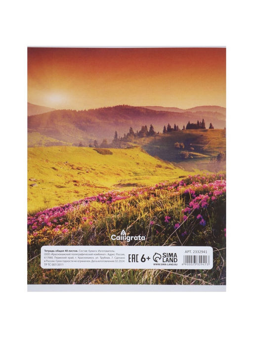 Комплект тетрадей, 48 листов в клетку, Calligrata «Времена года», серые листы, 4 штук