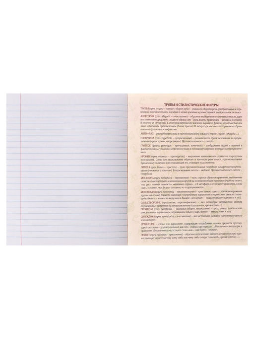 Цена за 5 шт. Предметная тетрадь по литературе Calligrata TOP «Журнал», 48 листов, в линейку, со справочным материалом, картонная обложка