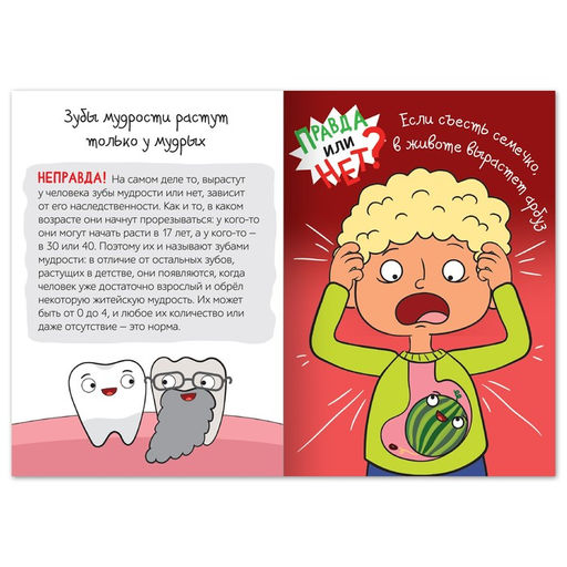 Цена за 2 шт. Обучающая книга Правда или нет? Тело человека, 44 стр. - Буква-ленд фото 3
