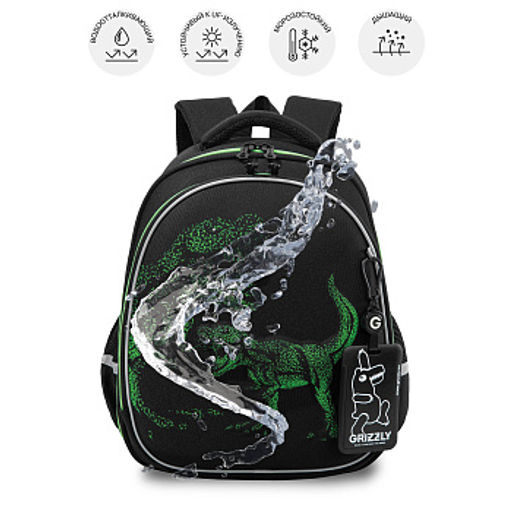 RAz-687-8 Рюкзак школьный с картхолдером на держателе - Grizzly фото 23
