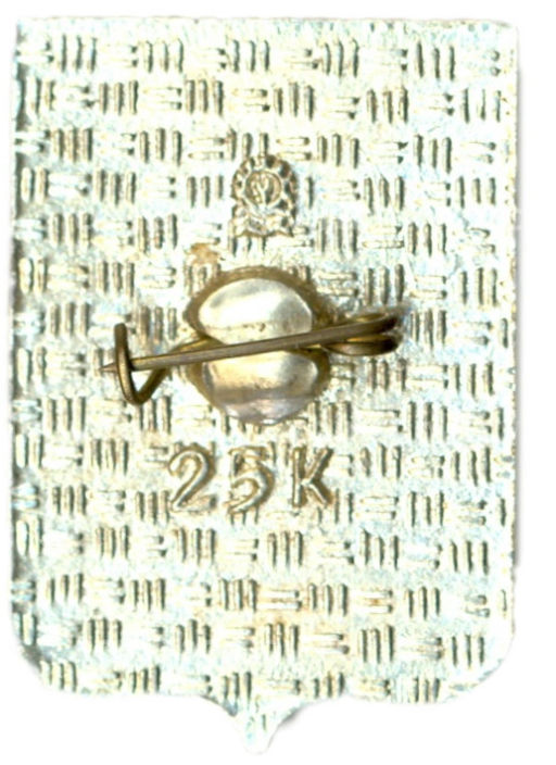 Значок Чебоксары