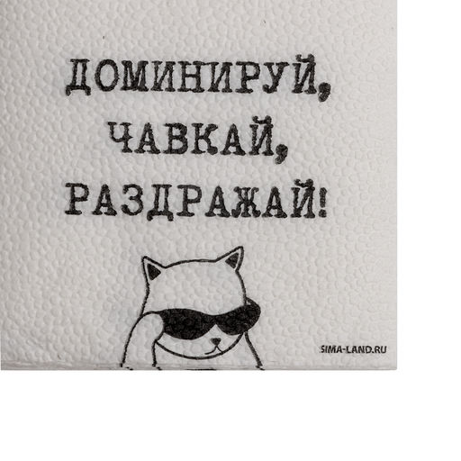 Салфетки бумажные однослойные «Доминируй, чавкай, раздражай», 24×24 см, набор 20 шт.