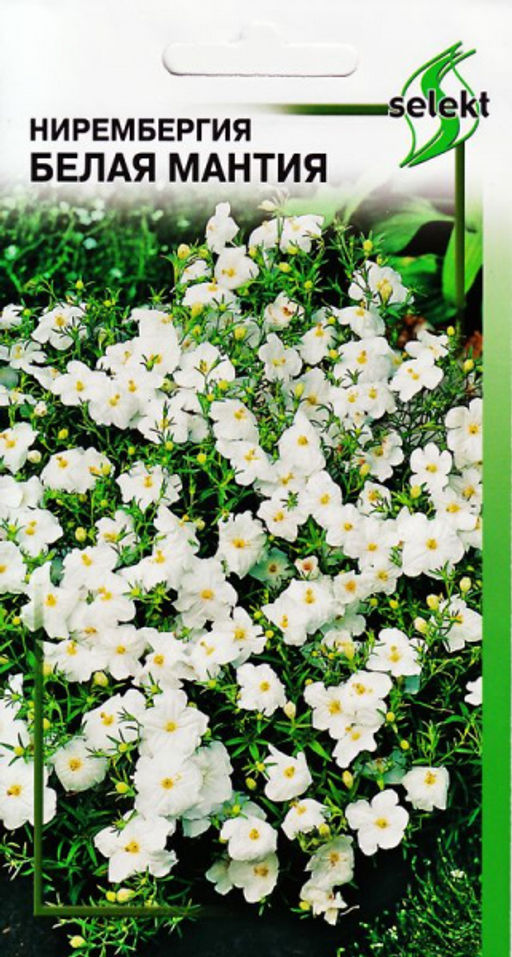 Нирембергия Белая мантия