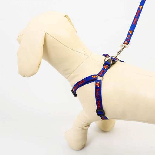 Комплект Super Dog, шлейка 26-39 см, поводок 120х1 см - Пушистое счастье фото 7