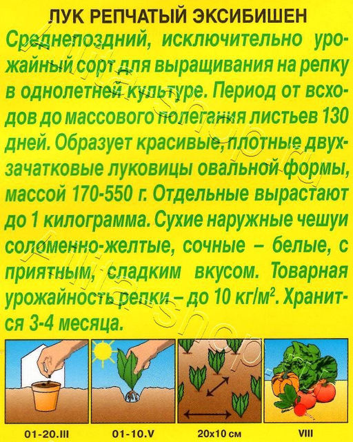 Лук репчатый Эксибишен 0,3г (Аэлита)