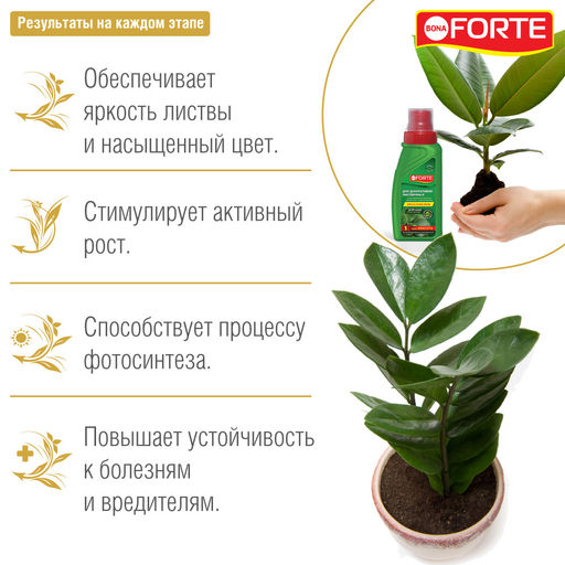 Компл. мин. удобр. "Bona Forte Красота" Для декоративно-лиственных растений фл.285мл