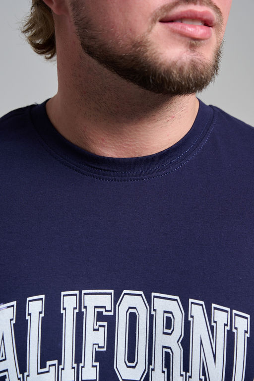 Футболка мужская 8503/1