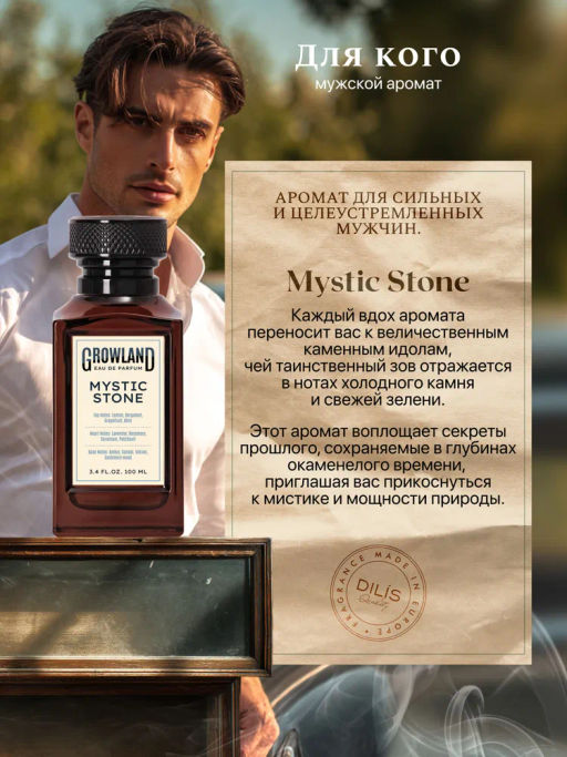 Dilis Парфюмерная вода для мужчин GROWLAND Mystic Stone 100 мл