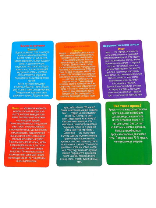 Набор для опытов Мое удивительное тело - Эврики фото 17