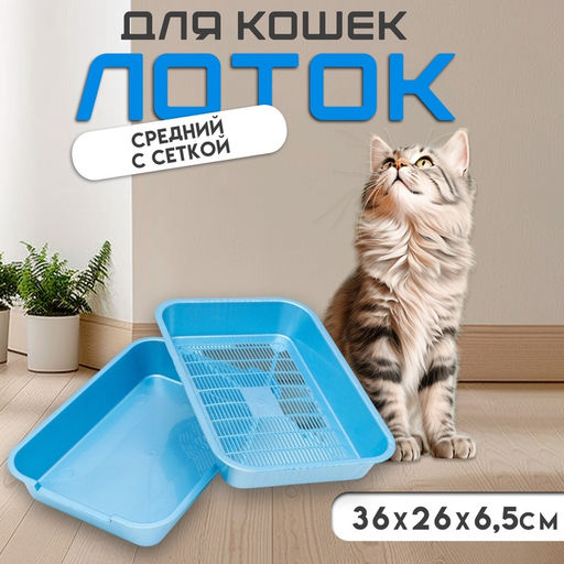 Туалет перламутровый средний с сеткой 36×26×6.5 см голубой