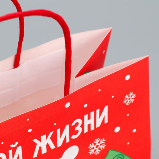 Пакет подарочный крафтовый Что-то на богатом, 22 22 11 см - Дарите счастье фото 5
