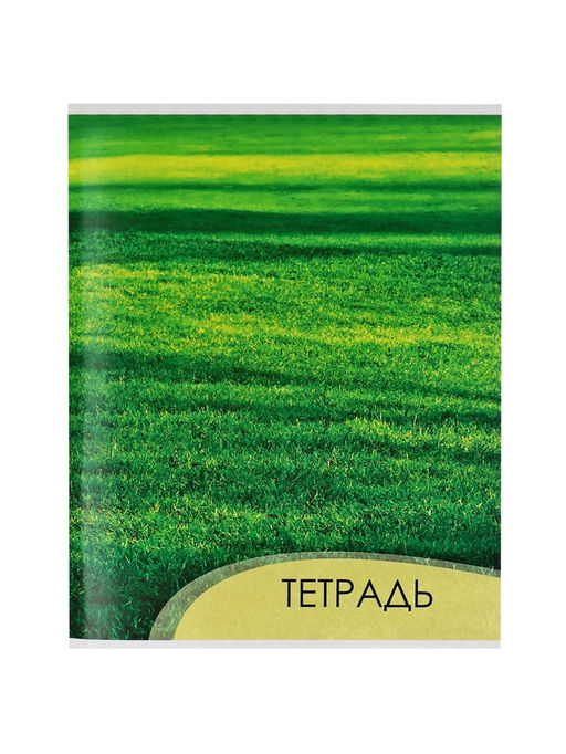 Тетрадь 96 листов в клетку Calligrata Текстура 2, обложка мелованный картон, блок офсет, МИКС  фото 9