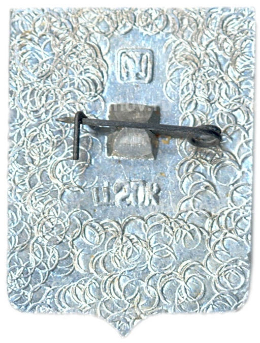 Значок Бердянск