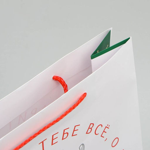 Пакет ламинированный вертикальный Все,что мечтаешь, L 28 38 9 см - Доступные радости фото 3