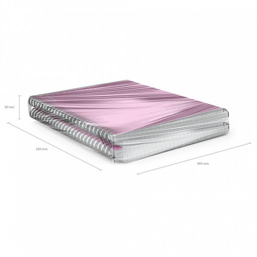 Цена за 4 шт. Тетрадь общая с пластиковой обложкой на спирали ErichKrause Silhouette, розовый, A5, 80 листов, клетка  фото 6