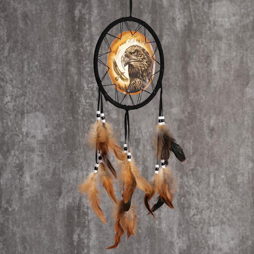 Ловец снов амулет «Орёл», 20×20 см