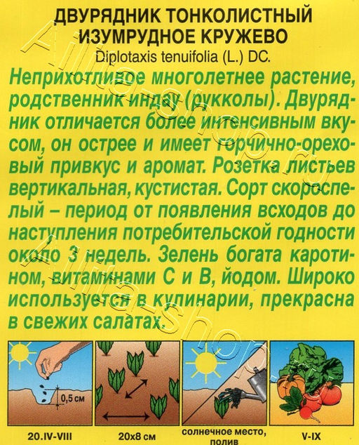 Рукола дикая (двурядник тонколистный) Изумрудное кружево 0,3г (Аэлита)